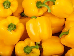 Poivron jaune